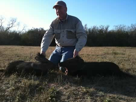 Texas Wild Hog Hunts
