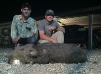 Nice Texas Pig Hunt