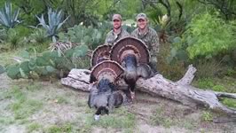 Turkey Hunt