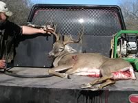 Management buck by handicap hunter