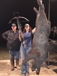 Monster Wild Hog kill with a crossbow